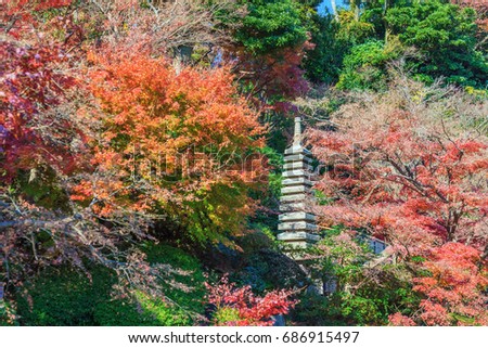 Beauty japanese garden in autumn season in the Hasedera shrine, Kanakawa, Enoshima