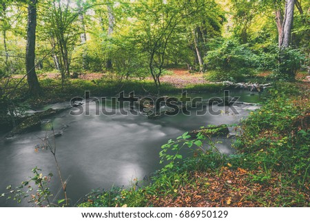 River in green summer forest