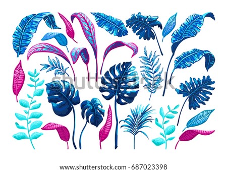 Tropical palm leaves. Set of vector hand drawn jungle leaves in trendy style isolated on white background.