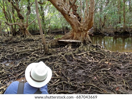 Taking pictures of awesome tree roots in the mangrove forest of Trat Province, Thailand 