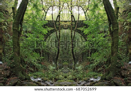 The Enchanted Forest,Las Fragas del eume,Galicia,Spain,Symmetrical photographs,  magical realism,surreal photography,abstract,magical picture just for crazy,trees, green,leaves,branches,spring,yellow,