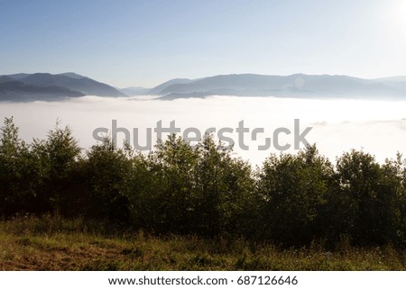 Fog in the mountains of the Carpathians sunrise