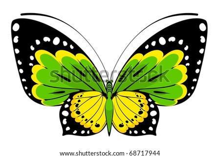 Tropical butterfly are isolated on a white background.