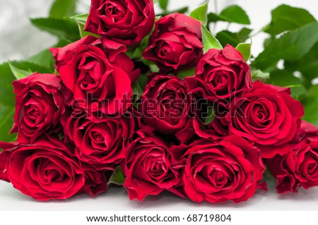 Roses Bunch