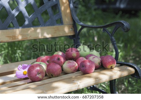 Apples lying on a bench