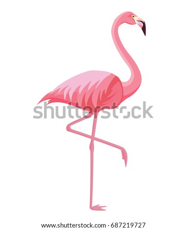 Pink flamingo on a white background. Vector illustration. Royalty-Free Stock Photo #687219727