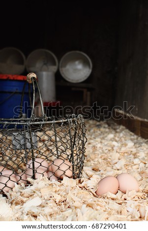 Basket of fresh eggs inside a chicken coop. Extreme shallow depth of field.