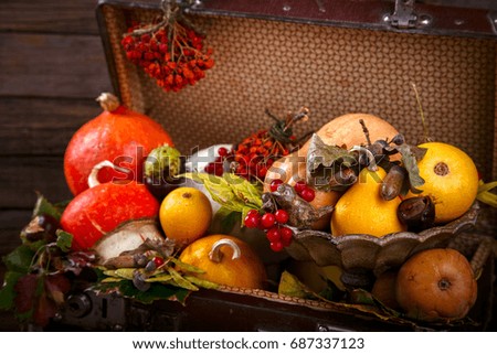 Autumn still-life.Autumn background. Decorative pumpkins,colorful leaves,chestnuts, acorns, Rowan and cranberries in old suitcase . Vintage style. Copy space. selective focus.