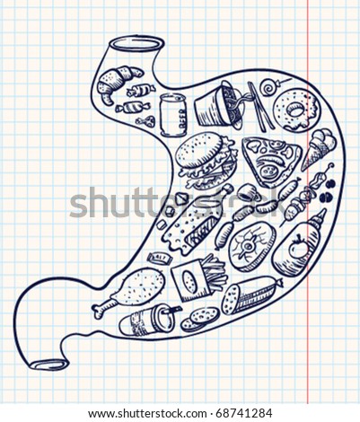 Stomach full of fast food (doodle version)