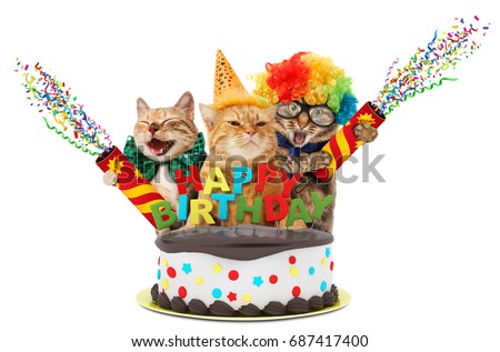 Funny cats with petard and birthday cake.  They are wearing festive clothes, isolated on white background. Royalty-Free Stock Photo #687417400