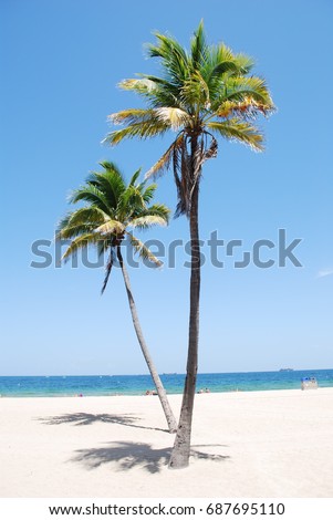 Palm Trees - Beach, Resort, Tropical, Ocean, Vacation, Trip, Travel Royalty-Free Stock Photo #687695110