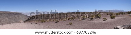 desert scene