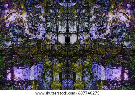 A digitally altered kaleidoscope effect of a forest.
