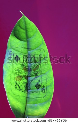 card spade painting on green leaf on pink background