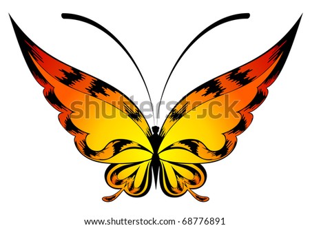 The beautiful butterfly