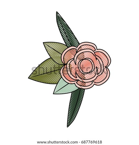 white background with colored crayon silhouette of rose with green leaves vector illustration