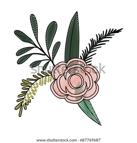 white background with colored crayon silhouette of branches and rose flower ornament vector illustration
