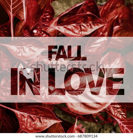 Poster with Fall in Love text. Creative layout with autumn leaves pattern background. 