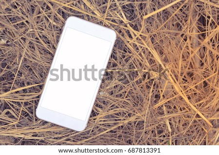Close up image of a hand holding a white smartphone with a blank white screen. yellow flashing flare at the top edge of the phone and in the background. Garden unfocused background. Technology.