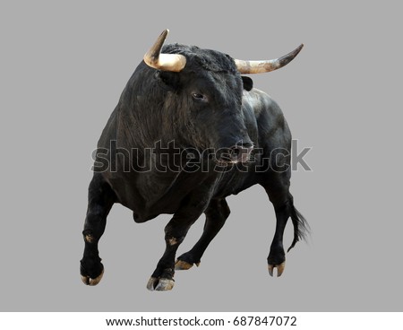 Black bull on isolated gray background. Royalty-Free Stock Photo #687847072