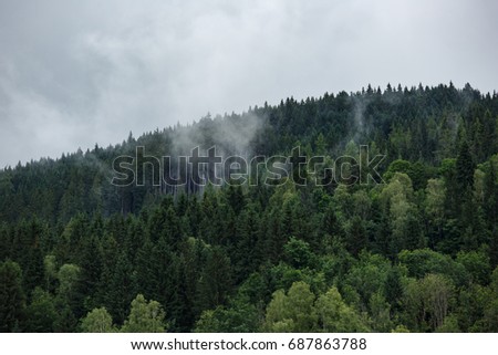 Fantastic dreamy landscape. Forest and mountain covered with foggy, mist, cloud. Clouds flowing through the trees on the top of the mountain. Misty pine forest on the mountain slope in nature reserve