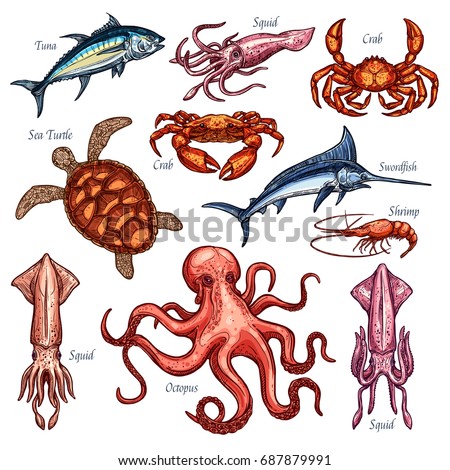 Seafood and fish icons set of tuna, squid or lobster crab and sea turtle. Vector isolated fisherman catch of swordfish marlin, shrimp or prawn and octopus for seafood restaurant or fishery market