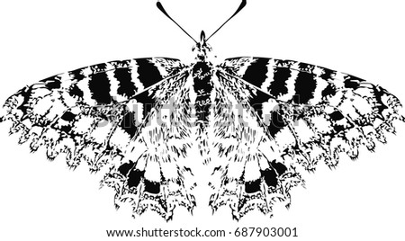 Stylized vector butterfly - abstract vector art 