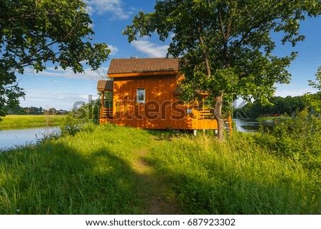 Ideal organic minimalistic wooden house in oak forest in summer on small island. Orange planking on the house. Green grass and green crown of oaks.