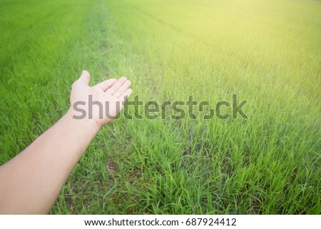 Hand on green natural lawn backdrop,The nature of love,Farmer's invitation to watch agricultural produce,Introduction to cultivation,Hands on green backdrop