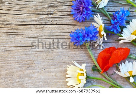 Close up on wildflowers: camomiles, blue cornflowers and red poppy on an old wooden background. Rustic style. Space for text