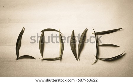 Romantic word 'LOVE' leaves on white background
