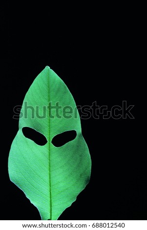 hole on green leaf on black background