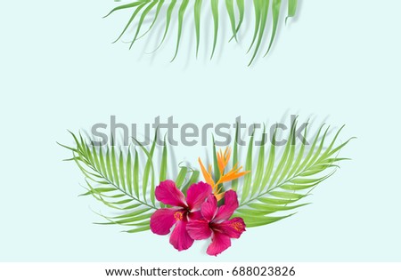 Tropical palm leaves on light blue background. Minimal nature. Summer Styled.  Flat lay.  Image is approximately 5500 x 3600 pixels in size.