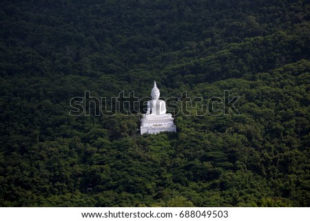 white buddha sculpture with rain forest mountain background