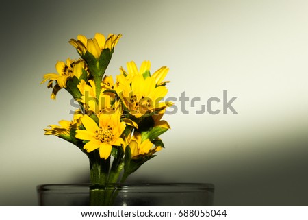 Yellow flowers in a glass on a white background.