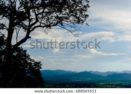 silhouette of tree  with background of sky forest and mountain.