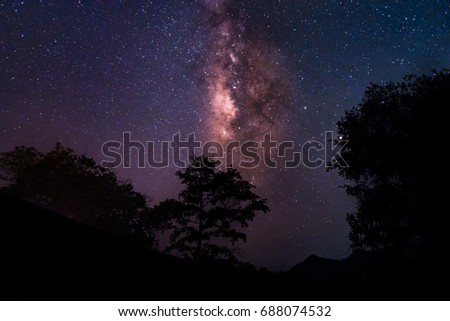 Night landscape with colorful Milky way and some trees. with night starry sky and silhouette. Beautiful Universe. Thailand. Purple and Yellow