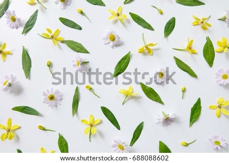 pattern daisy  flowers ,yellow flower and leaves on white background .Flat lay, top view