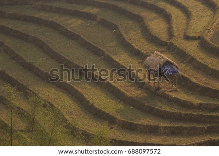 Rice fields on terraced .Mountain cottage in low season ,Thailand Rice fields prepare for transplant at North Thailand.