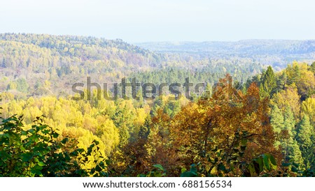 Beautiful autumn landscape. Aerial photography. Colorful view.