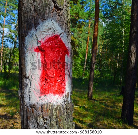 Red up arrow on the background of pine bark
