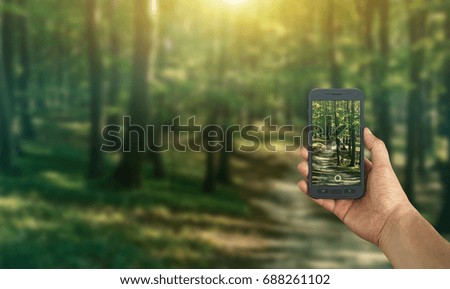 Tourist taking a picture of forest using a smartphone, point of view shot