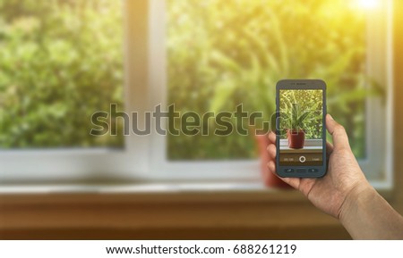 Tourist taking a picture of plant on window using a smartphone, point of view shot