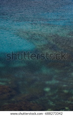 Portrait format picture of a colorful seabed in the Mediterranean captured from the top in bright daylight