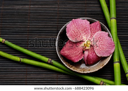 Pink orchid in water bowl and bamboo grove on mat background