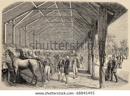 Antique illustration of agricultural contest: horses exposition. Original, from drawing of Blanchard and Lambert, was published on L'Illustration, Journal Universel, Paris, 1860