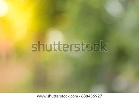 nature blur bokeh background