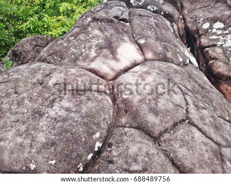 Rock forest in Thailand