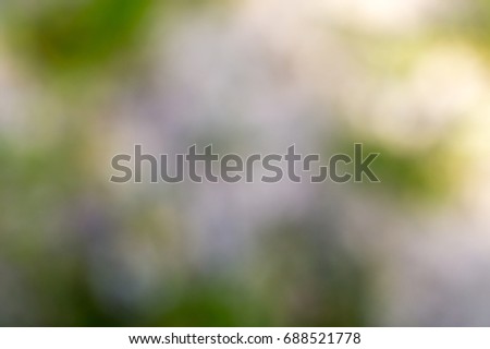Blurred bright background with yellow and green circles
