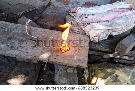 Backyard duck fire crafting !!